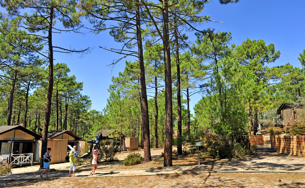 Camping les Oyats en bord de mer dans les Landes