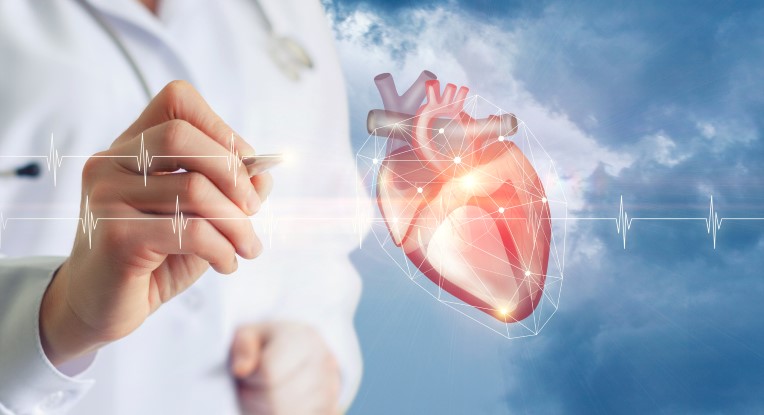 Quand faut-il consulter un cardiologue à Nice ?